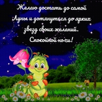 Спокойной ночи! Желаю достать до самой Луны