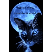 Чудных снов, спокойной ночи!