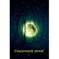 Сказочной ночи!
