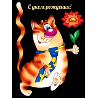 С Днём Рождения