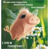 Желаю так погулять, чтобы всю жизнь вспоминать.