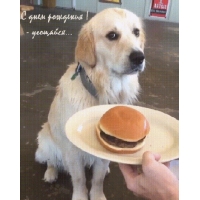 С днем рождения! — угощайся…