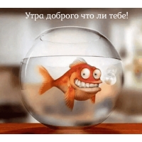 Утра доброго что ли тебе!