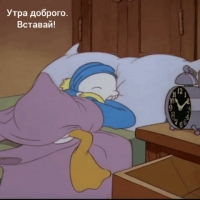 Утра доброго. Вставай.