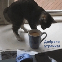 Доброго утречка!