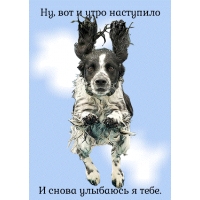 Ну, вот и утро наступило