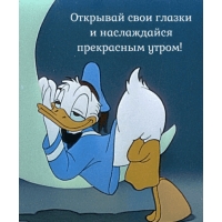 Открывай свои глазки и наслаждайся утром!