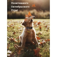 Позитивного Октябрьского Утра!