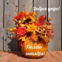 Доброе утро! Тёплого октября!