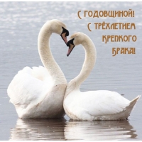 С годовщиной! С трёхлетием Крепкого Брака!