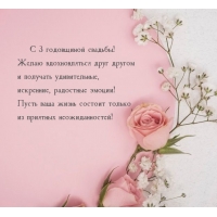 С 3 годовщиной свадьбы! Желаю вдохновляться друг другом
