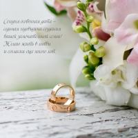 Сегодня особенная дата —  седьмая годовщина создания