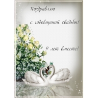 Поздравляю с годовщиной свадьбы! 9 лет вместе!