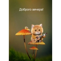 Доброго вечера!