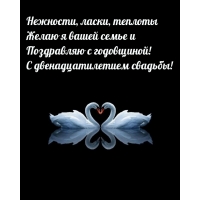 Поздравляю с годовщиной! С двенадцатилетием свадьбы!