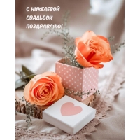 С никелевой Свадьбой Поздравляю!