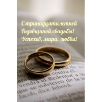 С тринадцатилетней Годовщиной свадьбы! Успехов, мира, любви!