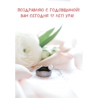 Поздравляю с годовщиной! Вам сегодня 17 лет! Ура!