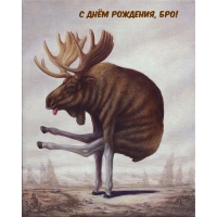 С днём рождения, бро!