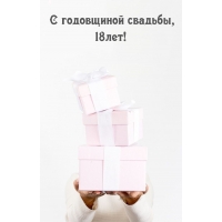 С годовщиной свадьбы, 18лет!