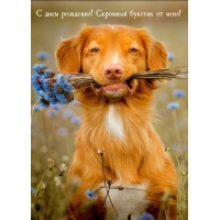 С днем рождения! Скромный букетик от меня!