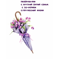 Поздравляю с круглой датой семьи, с 20-летием супружеской жизни