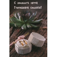 С двадцать пятой Годовщиной свадьбы!