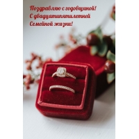С годовщиной! С двадцатипятилетней семейной жизни!