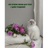 Все краски жизни для тебя! С ДНЕМ РОЖДЕНИЯ!