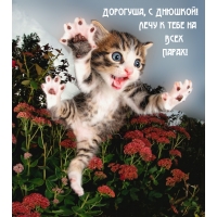 Дорогуша, с Днюшкой! Лечу к тебе на Всех Парах!