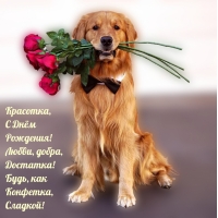 Красотка, С Днëм Рождения! Любви, добра