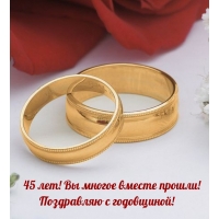 45 лет! Вы многое вместе прошли! Поздравляю с годовщиной!