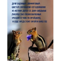 45-летняя дата со дня свадьбы!