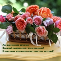 Моя драгоценная доченька! Принимай поздравления с днем рождения!