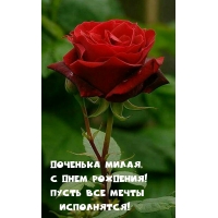 Доченька милая, с днем рождения! Пусть все мечты исполнятся!