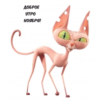 Доброе утро ноября!