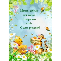 Милый, добрый мой внучок, поздравляю я тебя с днем рождения!