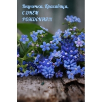 Внучечка, Красавица, с днём рождения!