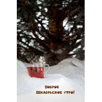 Доброе декабрьское утро!