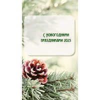 С Новогодними праздниками 2023