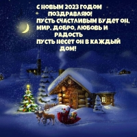 С Новым 2023 годом поздравляю! Пусть счастливым будет он
