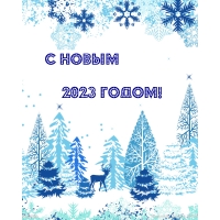 С новым 2023 годом!