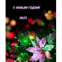 С Новым годом! 2023