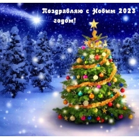 Поздравляю с Новым 2023 годом!