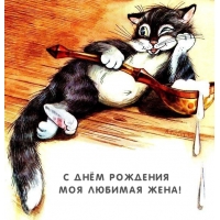С Днём Рождения моя любимая жена!