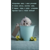 Поздравляю, дядя, с днем рождения и желаю долгих, светлых дней