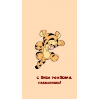 С днем рождения, племянник!