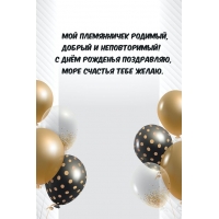 Мой племянничек родимый, добрый и неповторимый!