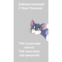 Любимый племянник! С Днем Рождения! Тебе желаю море счастья!