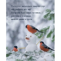 Пусть в это замечательное январское утро тебе улыбается весь мир!
